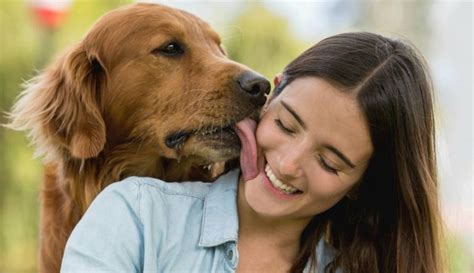 mujeres follando con perros|Mujeres y perros teniendo sexo salvaje caliente